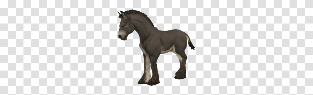 Donkey, Horse, Mammal, Animal, Person Transparent Png