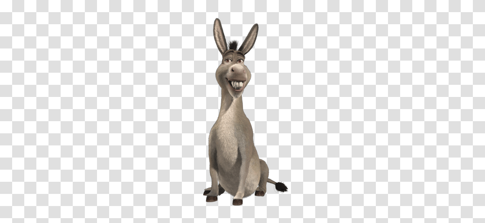 Donkey, Mammal, Animal, Cat, Pet Transparent Png