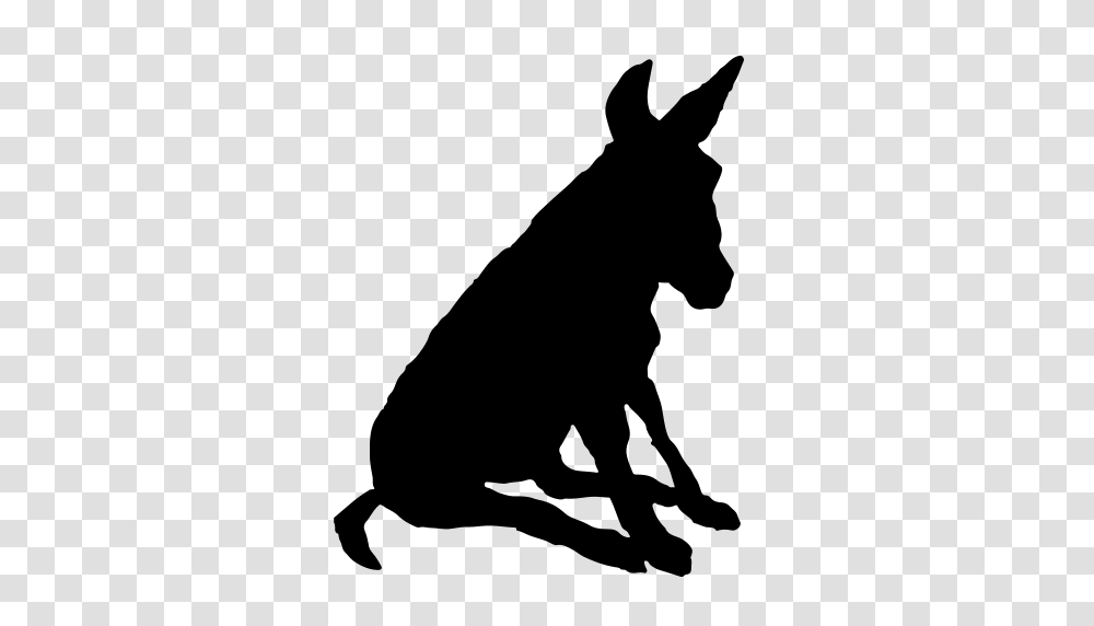 Donkey, Mammal, Animal, Dog, Pet Transparent Png