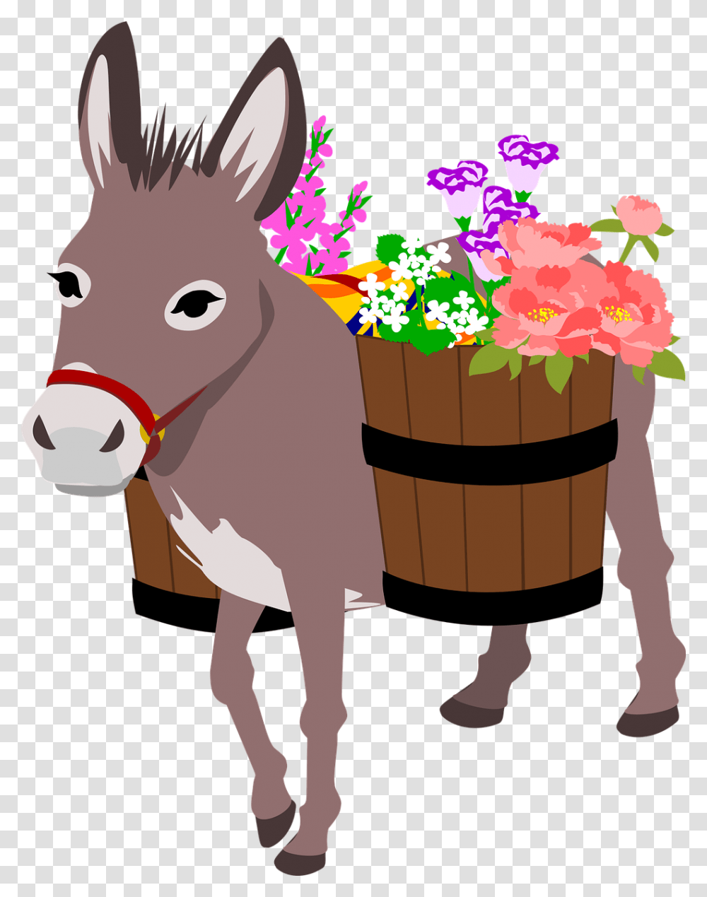 Donkey, Mammal, Animal Transparent Png