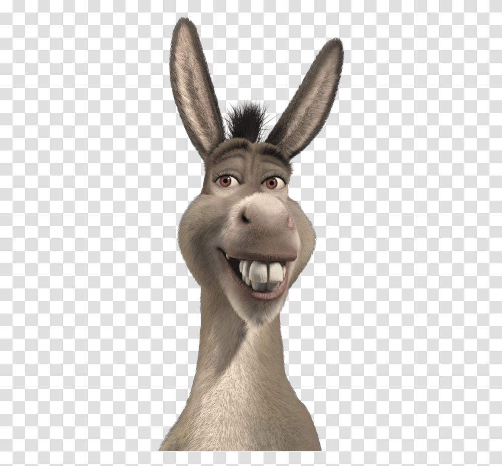 Donkey Shrek Clip Art, Mammal, Animal, Snout, Teeth Transparent Png