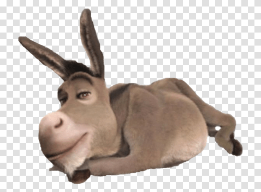 Donkey Shrek Donkey From Shrek, Mammal, Animal Transparent Png