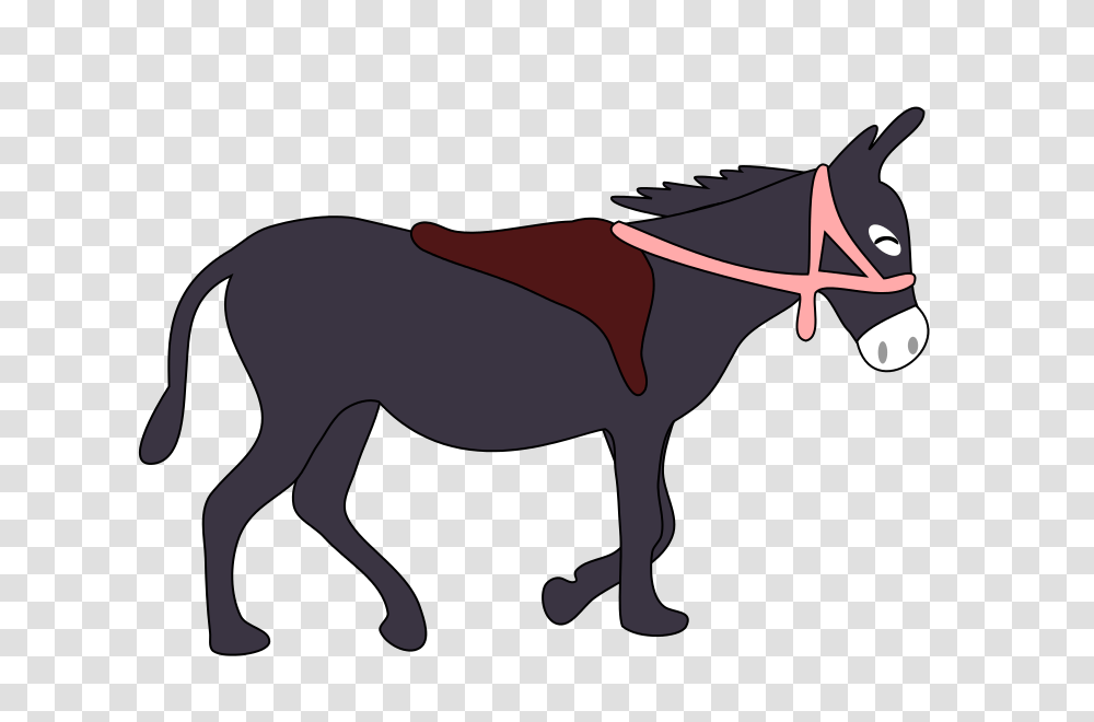 Donkey Smile, Animals, Horse, Mammal Transparent Png