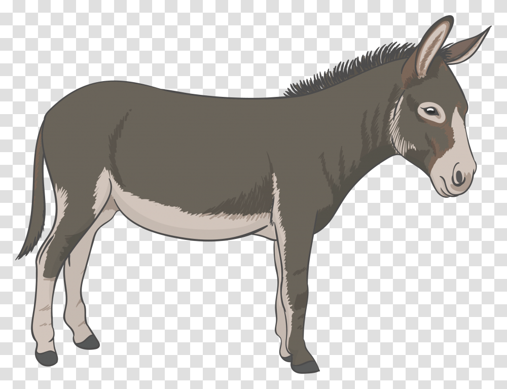 Donkey Vector Donkey, Mammal, Animal, Horse Transparent Png
