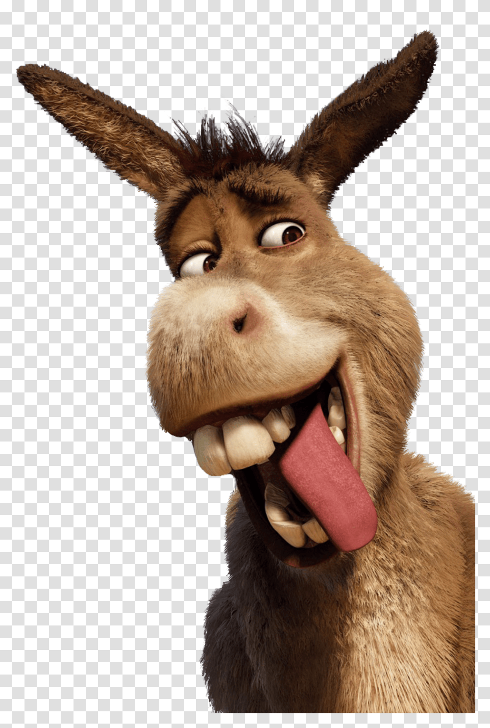 Donkeys Christmas Shrektacular Wallpapers High Quality Download, Mammal, Animal Transparent Png