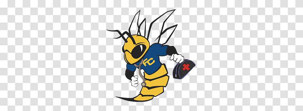 Dont Let The Flu Keep You Down This Season The Hornet, Honey Bee, Insect, Invertebrate, Animal Transparent Png