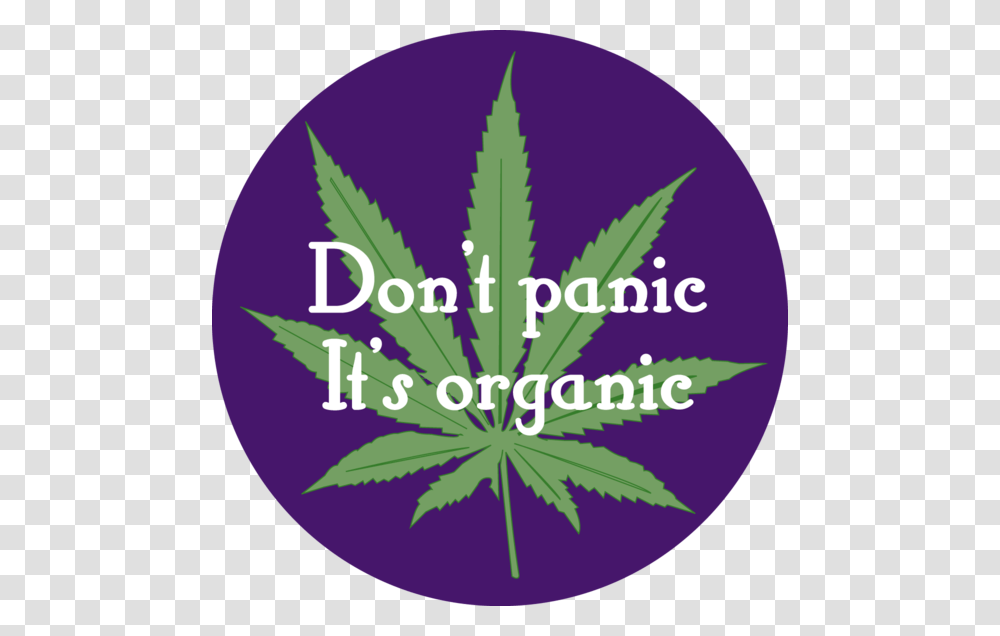 Dont Panic Its Organic, Plant, Purple, Flower, Blossom Transparent Png