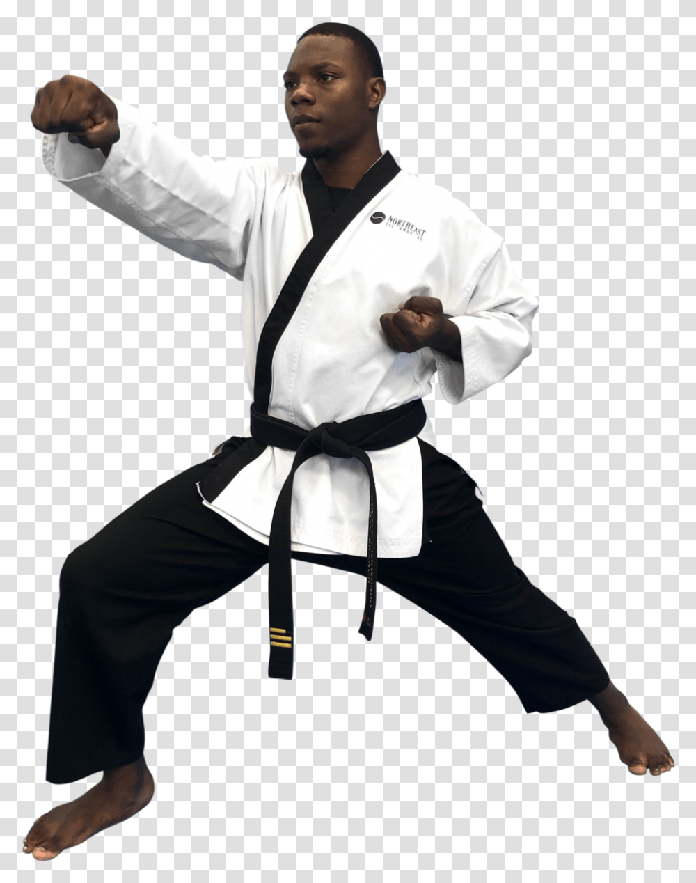 Donte 2019 Tempphoto V1 Black Belt, Karate, Martial Arts, Sport, Person Transparent Png