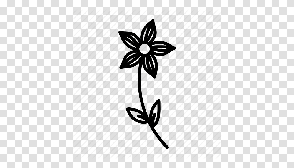 Doodle Environment Flower Garden Nature Petals Plant Icon, Star Symbol Transparent Png