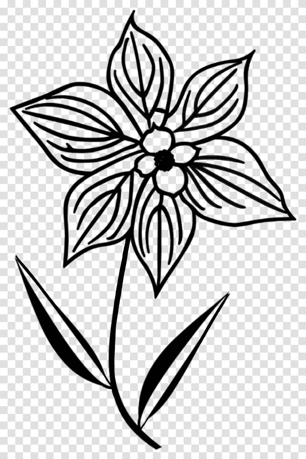 Doodle Flower Silhouettesome Outline Of A Flower, Gray Transparent Png