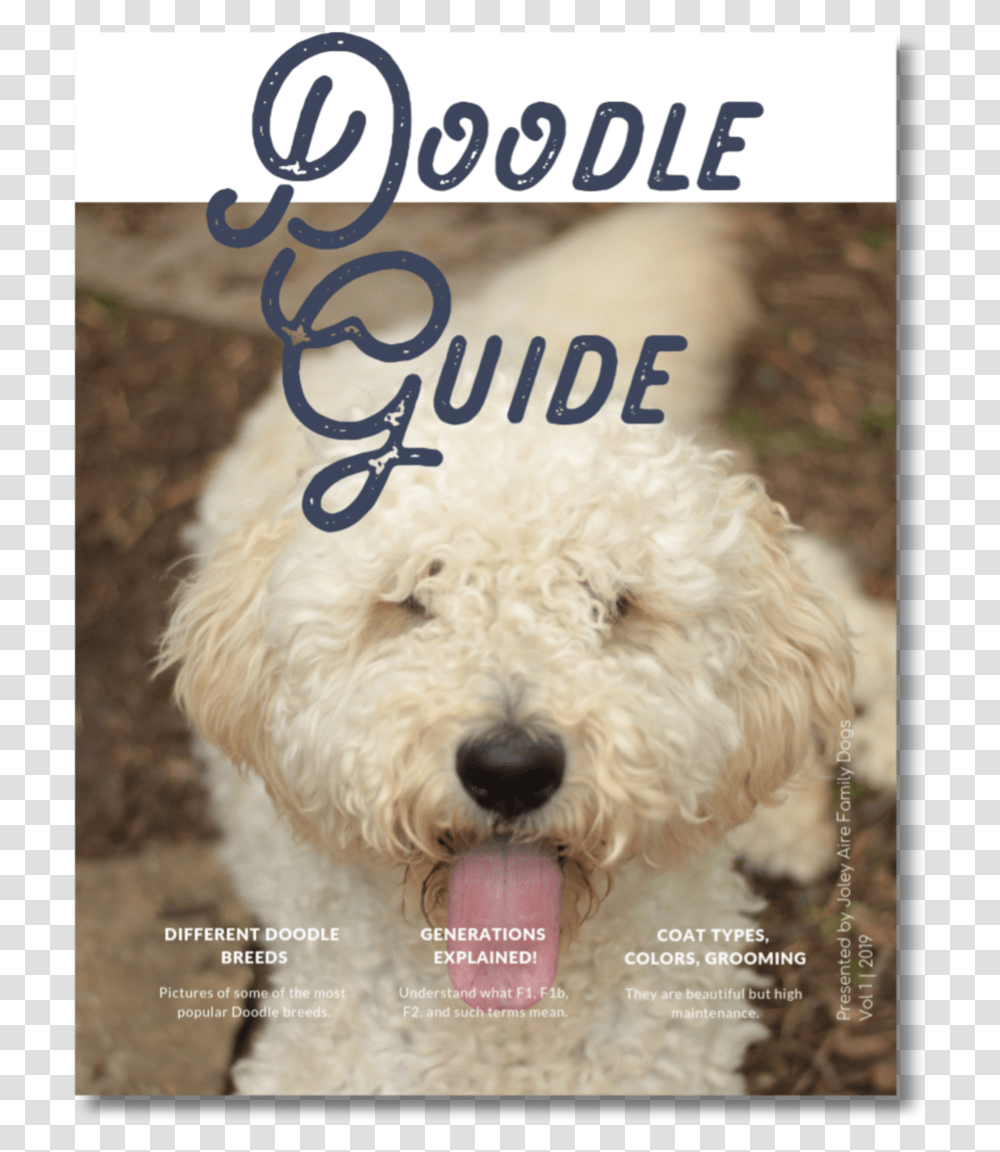 Doodle Guide Cover Labradoodle, Dog, Pet, Canine, Animal Transparent Png