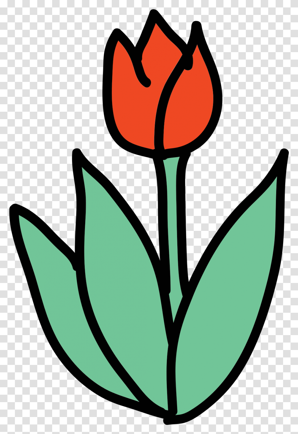 Doodle Icon, Plant, Flower, Blossom, Tulip Transparent Png