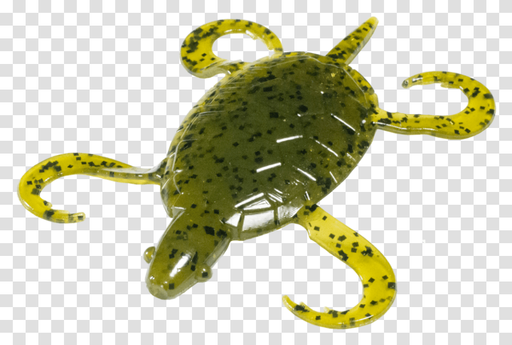 Doomsday Turtle Turtle Bait, Animal, Sea Life, Reptile, Tortoise Transparent Png