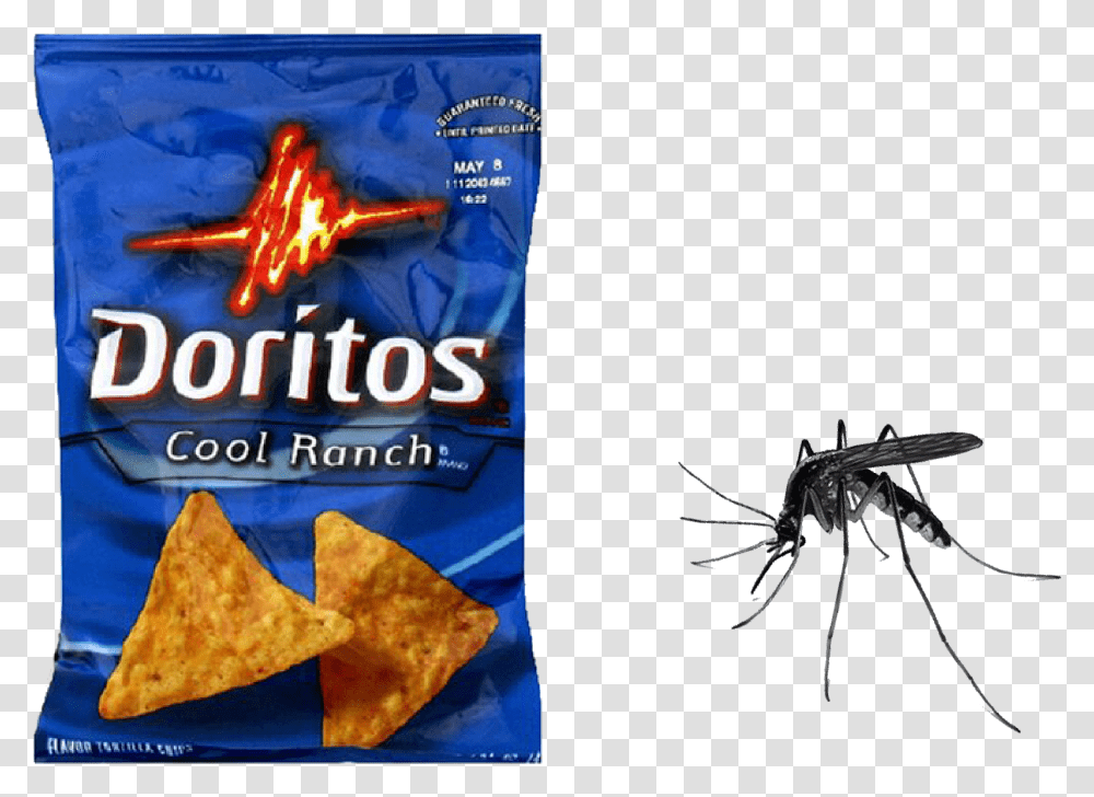 Doritos Cool Ranch Bag Download White People Think Is Spicy, Spider, Invertebrate, Animal, Arachnid Transparent Png