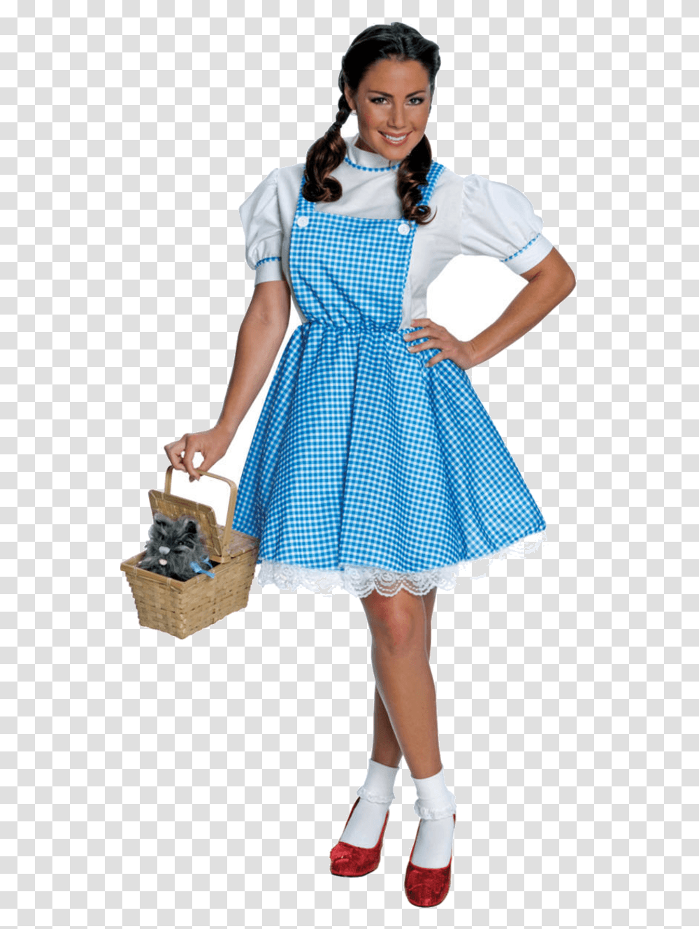 Dorothy Gale The Wizard Of Oz The Wonderful Wizard Dorothy The Wonderful Wizard Of Oz, Female, Person, Human, Dress Transparent Png