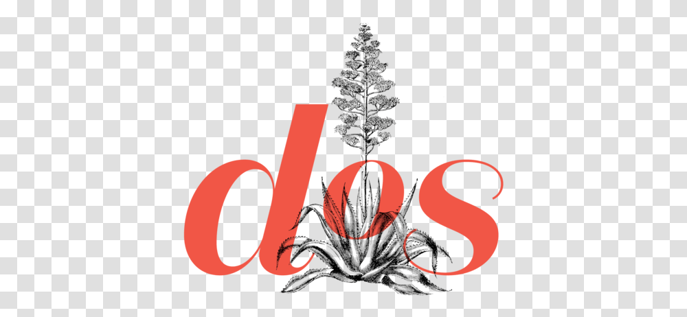 Dos Logo Secondary1 Illustration, Tree, Plant, Christmas Tree, Ornament Transparent Png