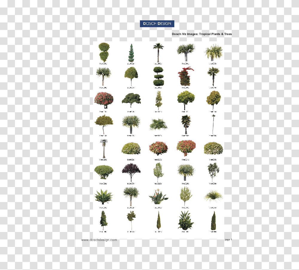 Dosch Design, Plant, Tree, Jar, Chime Transparent Png