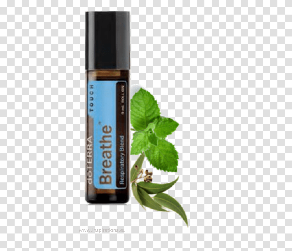 Doterra Breathe Touch Roller Bottle Pre Diluted Breathe Doterra, Potted Plant, Vase, Jar, Pottery Transparent Png