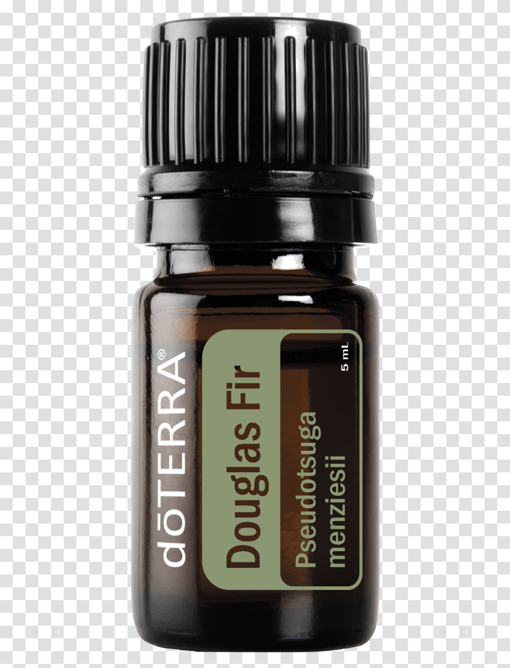 Doterra Douglas Fir Essential Oil 5ml Bottle, Jar, Plant, Mixer, Potted Plant Transparent Png
