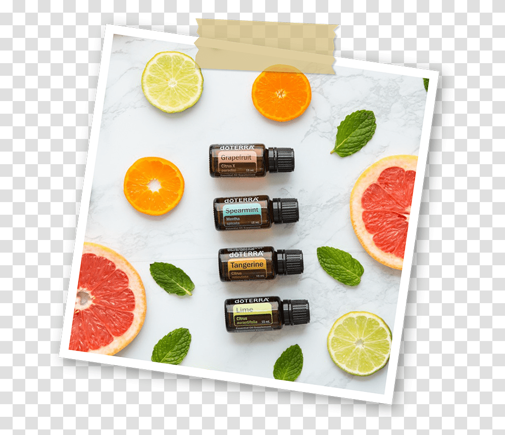 Doterra Essential Oils Harbourside Markets Bitter Orange, Citrus Fruit, Plant, Food, Grapefruit Transparent Png