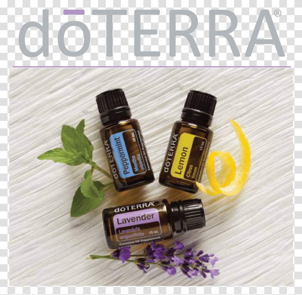 Doterra Oils Were Some Of The First Oils I Used In Doterra Lemon Lavender Peppermint, Label, Bottle, Plant Transparent Png