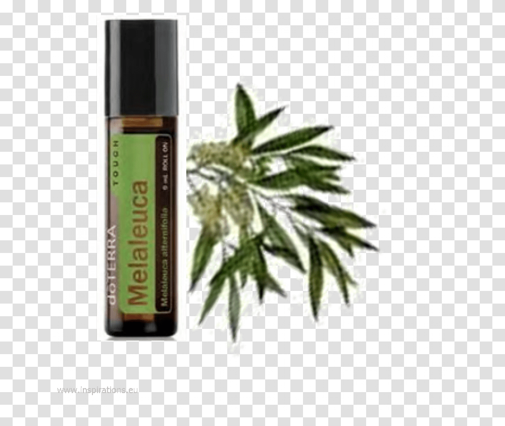 Doterra Tea Tree Touch, Bottle, Cosmetics, Perfume Transparent Png