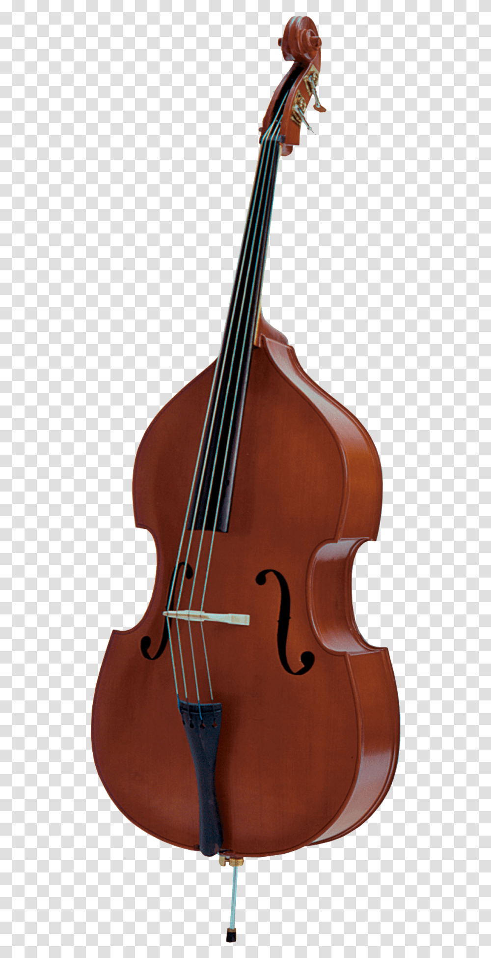 Double Bass Bass Guitar String Instruments Electric Palatino Vb, Musical Instrument, Cello, Mandolin Transparent Png