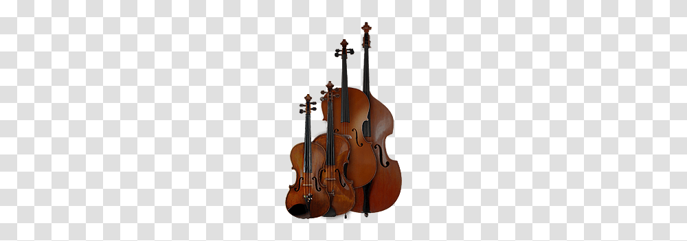 Double Bass Cello Clipart Free Clipart, Leisure Activities, Violin, Musical Instrument, Viola Transparent Png