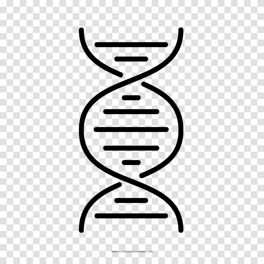 Double Helix Coloring, Gray, World Of Warcraft Transparent Png