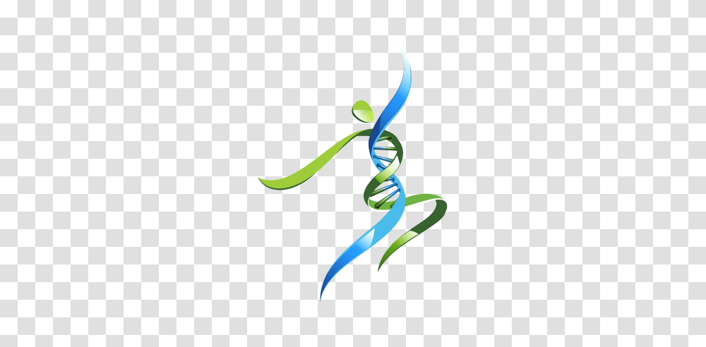 Double Helix Dash To Benefit Childhood Genetic Research, Plant, Knot, Vine Transparent Png
