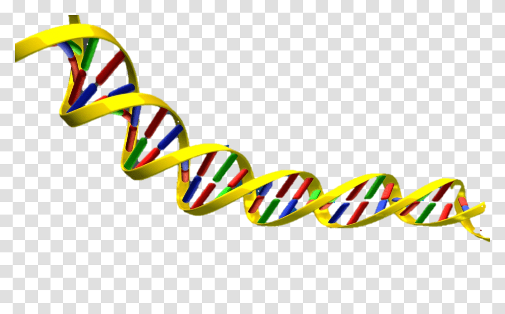 Double Helix Dna, Lawn Mower, Tool Transparent Png
