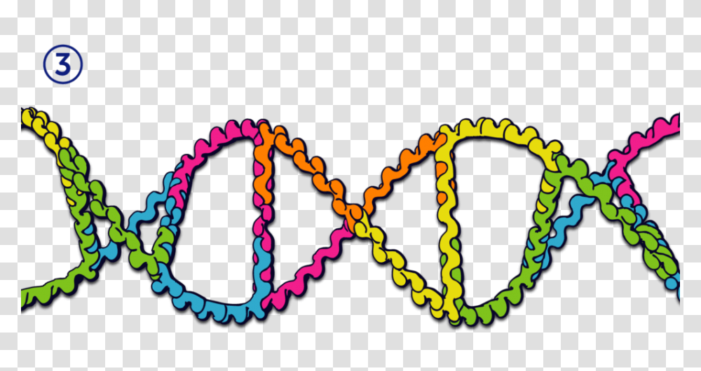 Double Helix Stems Flexible Construction Toy, Chain, Underwear, Apparel Transparent Png