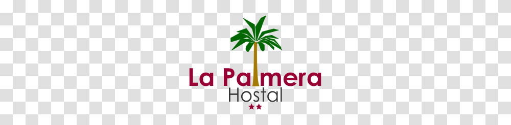 Double Room Hostal Palmera Barcelona, Tree, Plant, Palm Tree, Arecaceae Transparent Png