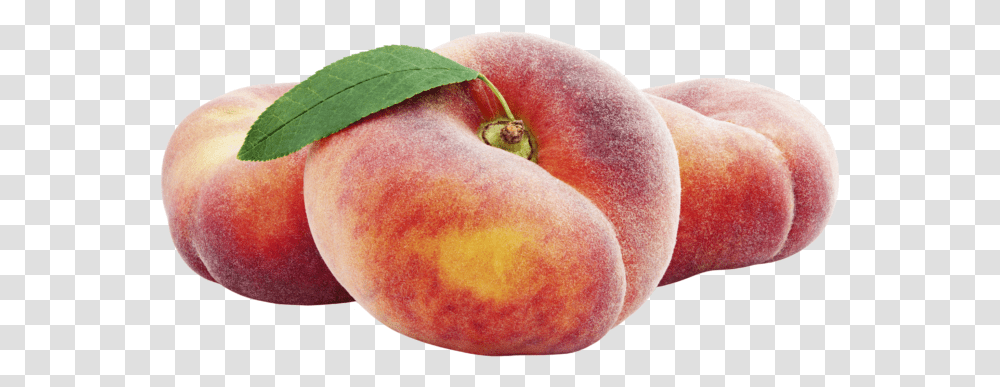 Doughnut Peach, Apple, Fruit, Plant, Food Transparent Png