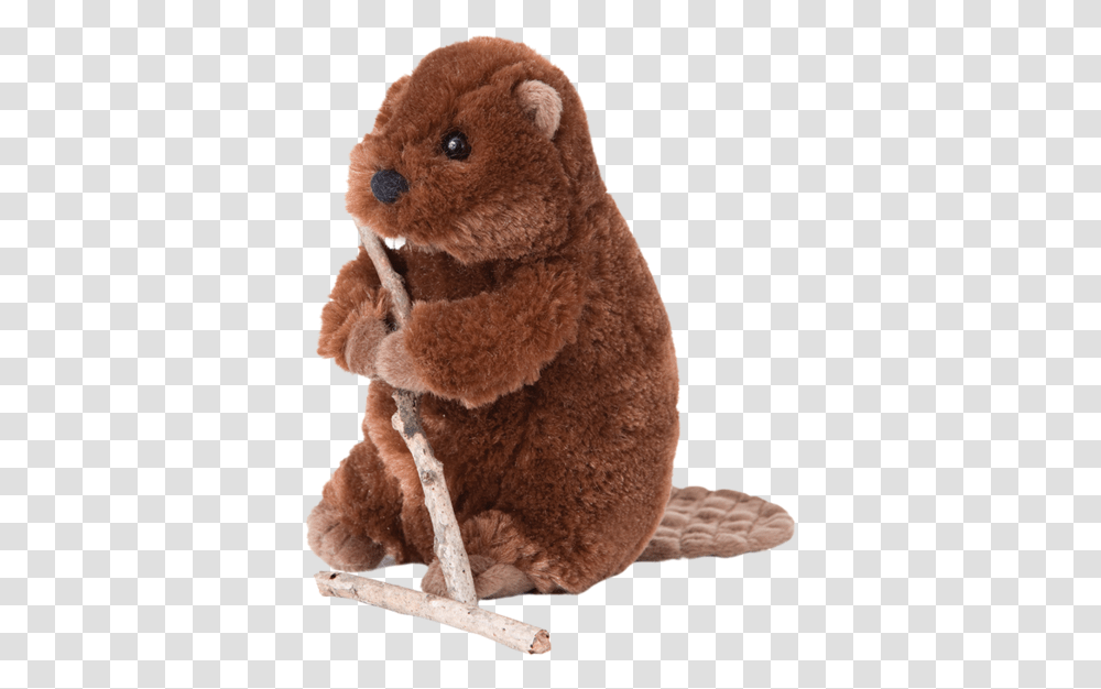 Douglas Buddy Beaver Beavers Stuffed Animals, Plush, Toy, Teddy Bear, Mammal Transparent Png