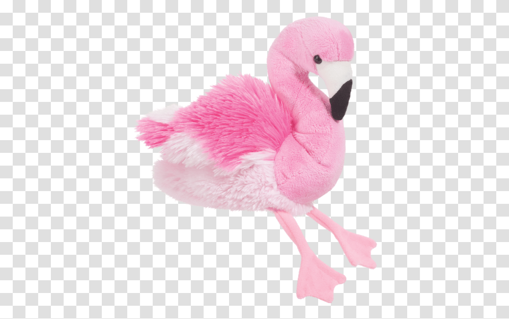 Douglas Cotton Candy Flamingo Flamingo Stuffed Animal, Bird, Swan Transparent Png