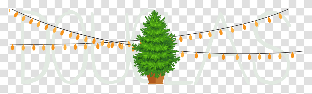 Douglas Fir Clipart, Tree, Plant, Ornament, Christmas Tree Transparent Png