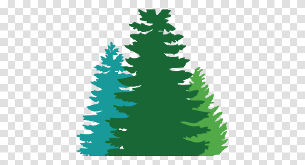 Douglas Fir Cliparts Pine Tree Svg Free, Plant, Ornament, Abies, Christmas Tree Transparent Png