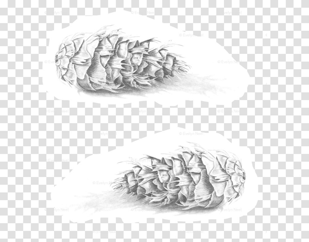 Douglas Fir Pine Cone Black And White Fabric Illustration, Plant, Cushion, Pillow, Animal Transparent Png