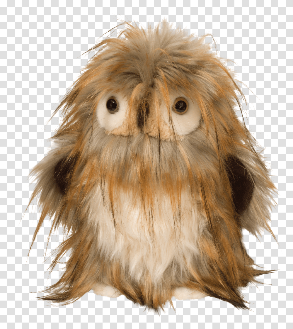 Douglas Janis Owl Transparent Png