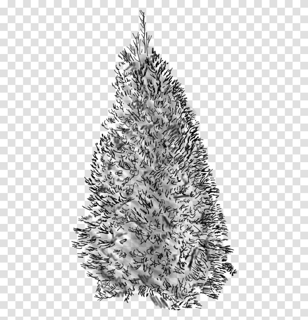 Douglass Fir Sketch Christmas Tree, Gray, World Of Warcraft Transparent Png