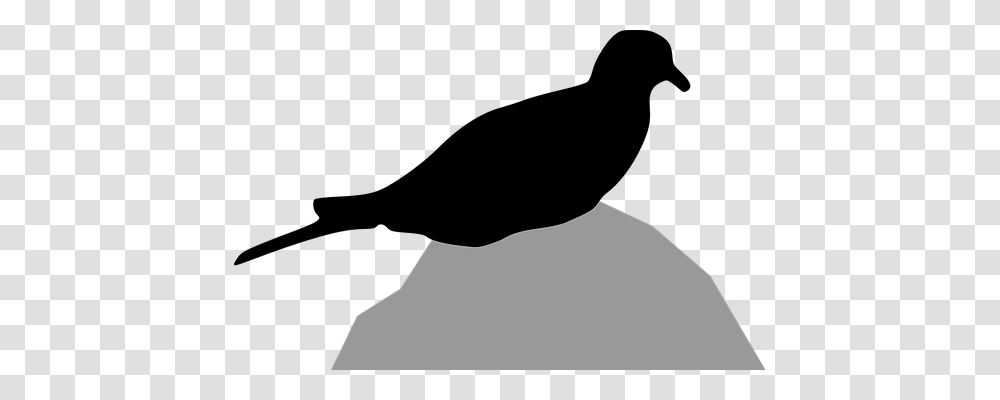 Dove Animals, Silhouette, Face, Photography Transparent Png