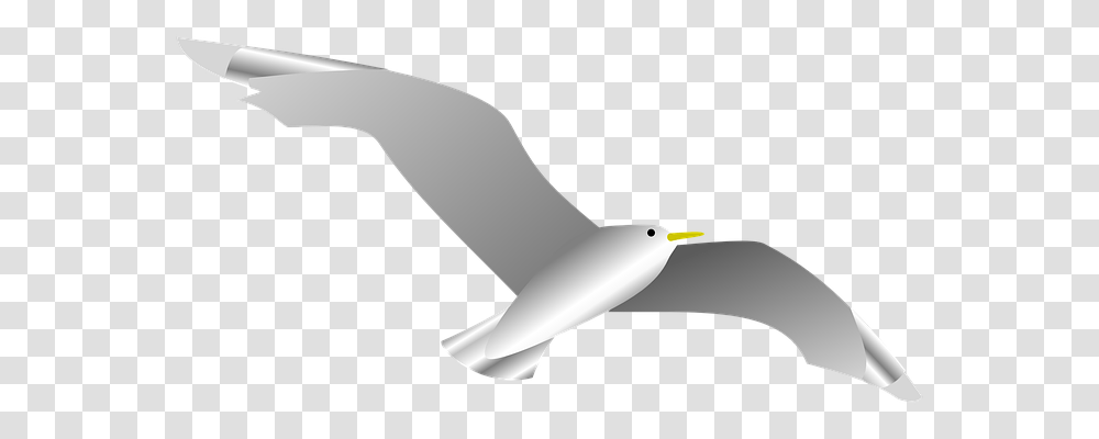 Dove Animals, Axe, Tool, Flying Transparent Png