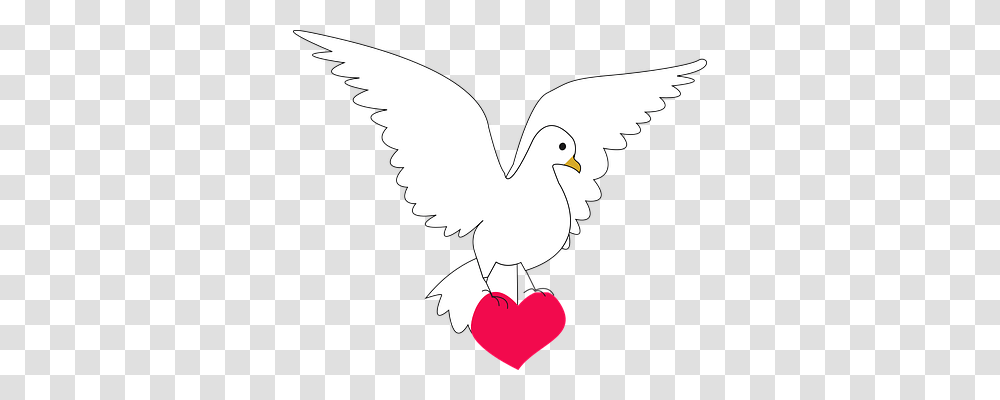 Dove Emotion, Bird, Animal, Eagle Transparent Png