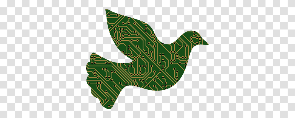 Dove Technology, Animal, Plot, Vehicle Transparent Png