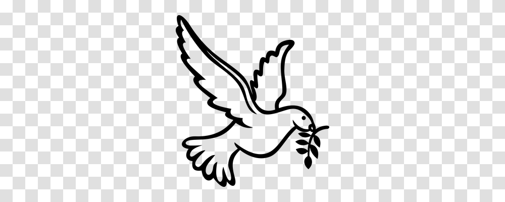 Dove Religion, Gray, World Of Warcraft Transparent Png