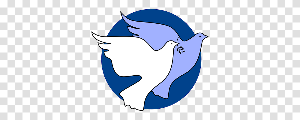 Dove Animals, Bird, Shark, Sea Life Transparent Png