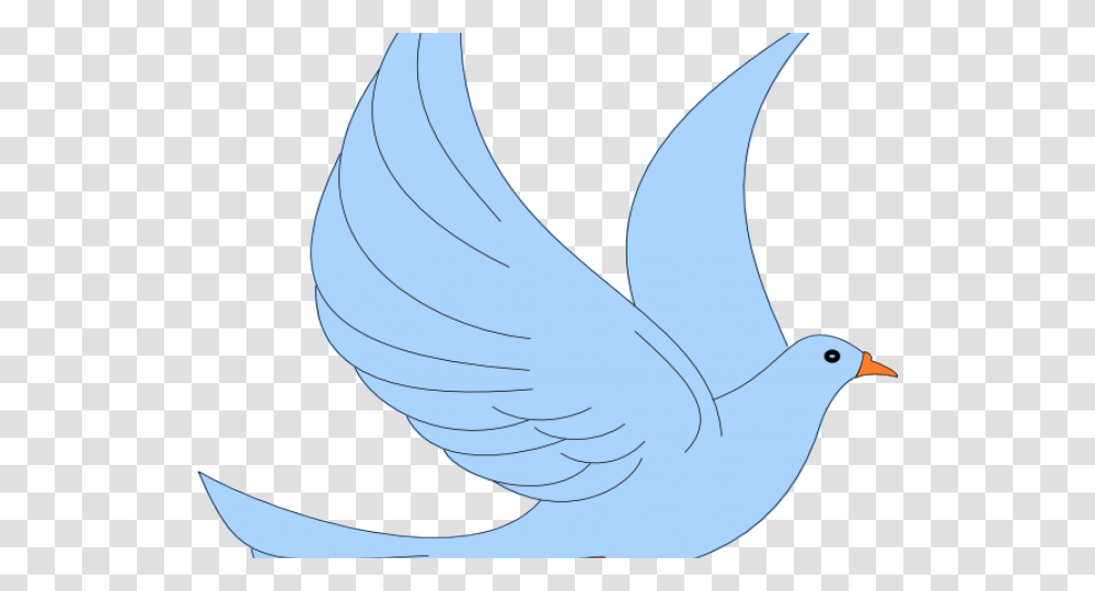 Dove Background Pigeons And Doves, Bird, Animal, Goose, Swan Transparent Png