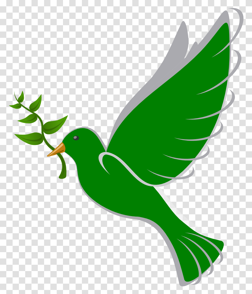 Dove Batak Christian Protestant Church, Green, Bird, Animal, Jay Transparent Png