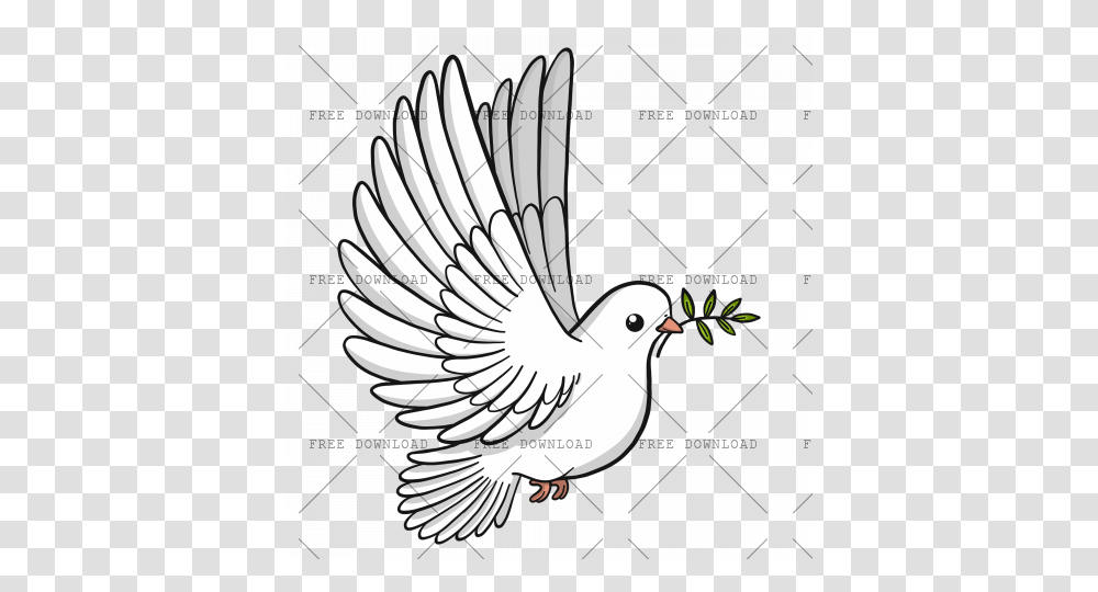 Dove Bird Image With Background, Animal, Pigeon, Banana, Fruit Transparent Png